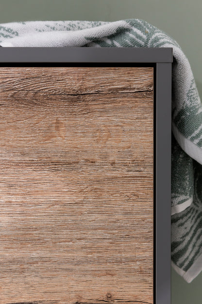 Detailbild von der Wildeiche